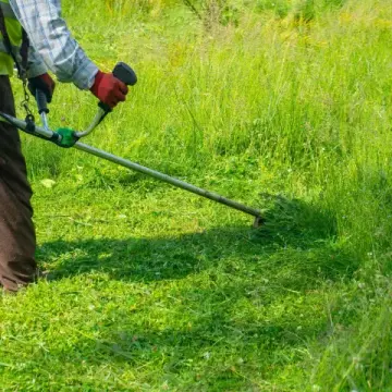 Trim uz rub dvorišta u okolici Samobora